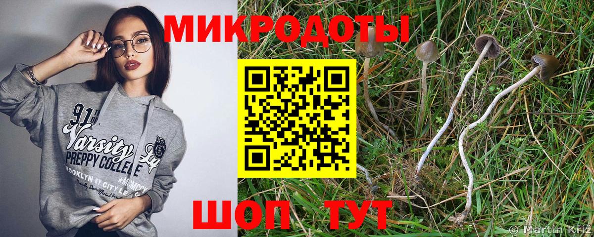 Воронеж  Псилоцибиновые грибы Magic Shrooms  Вход с VPN 